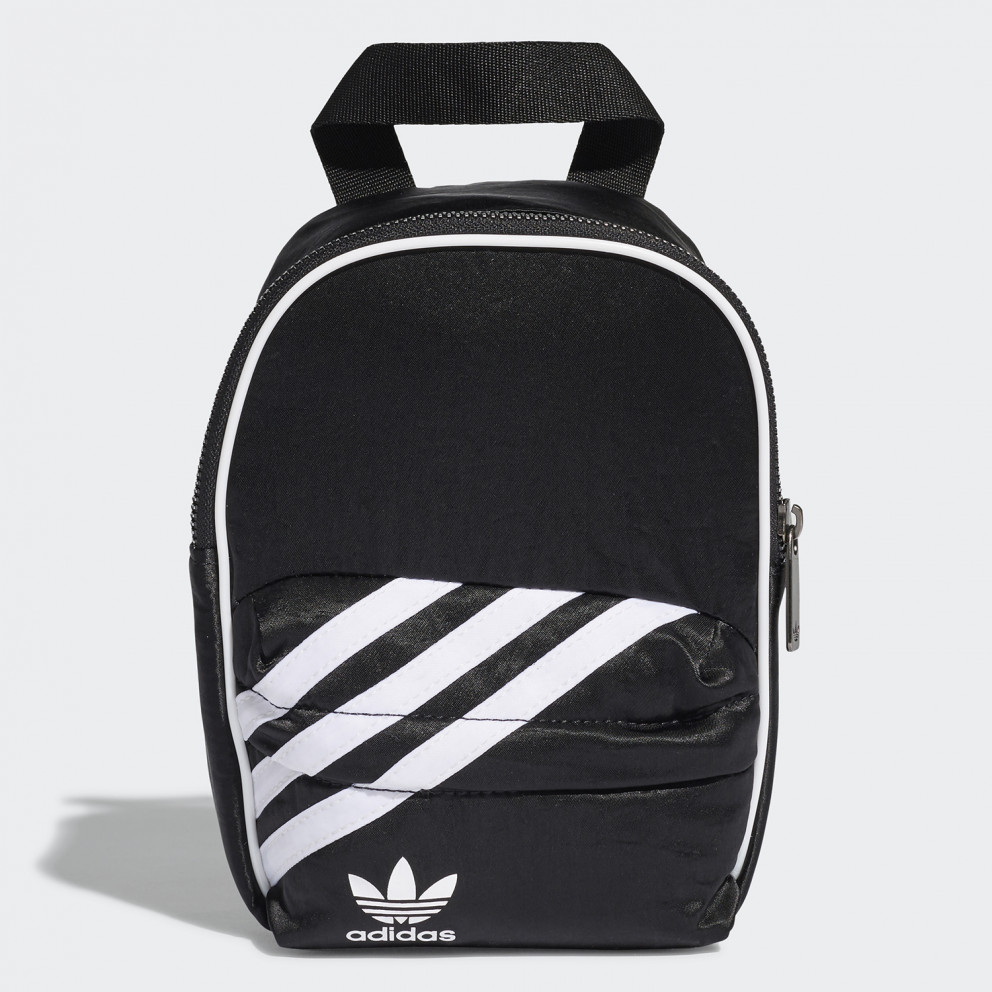 adidas sb backpack