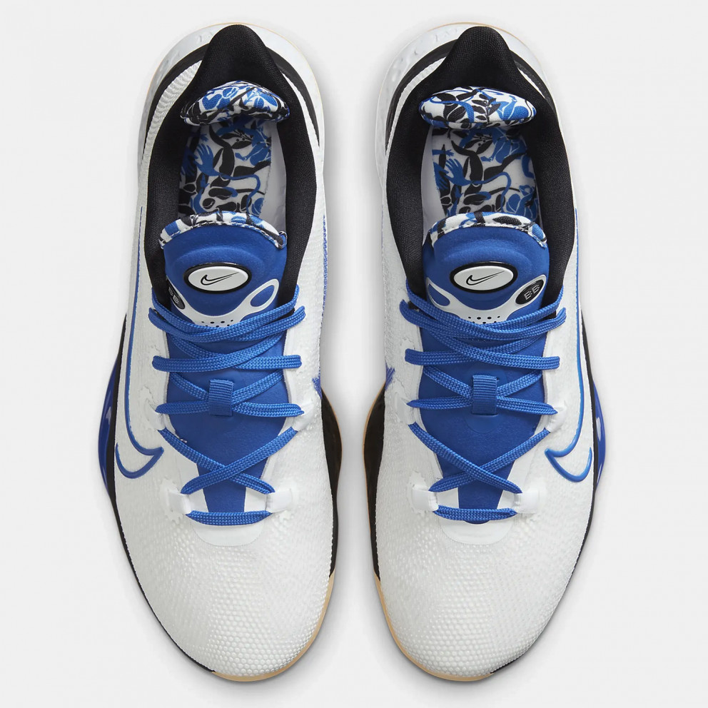 nike air zoom bb nxt sisterhood review