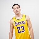 Nike NBA LeBron James Los Angeles Lakers Icon Edition 2020 Jersey