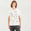 Levis Graphic Men's T-Shirt