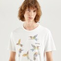 Levis Graphic Men's T-Shirt