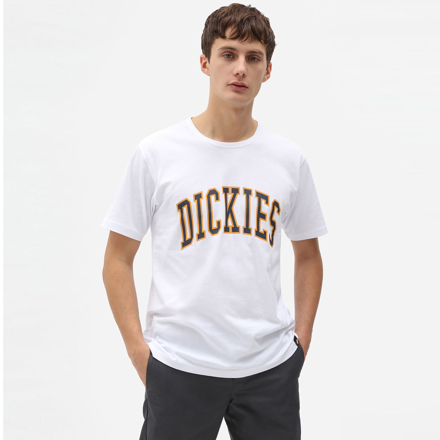 Dickies Aitkin Ανδρικό T-Shirt (9000073106_8027) 90000731068027