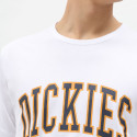 Dickies Aitkin Men's T-Shirt