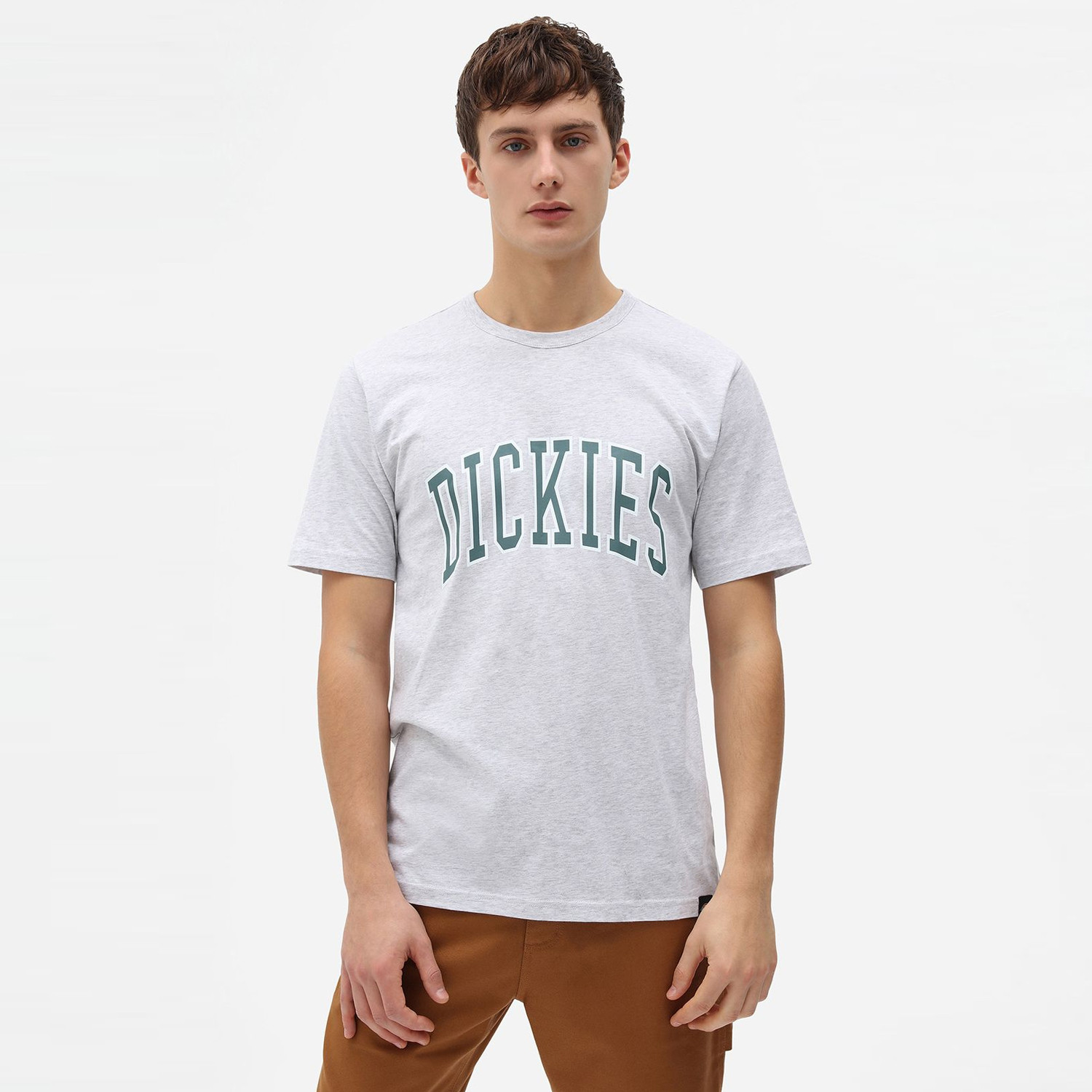 Dickies Aitkin Ανδρικό T-Shirt (9000073108_51474) 900007310851474