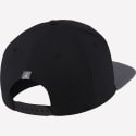 Jordan Pro Jumpman Classics Cap