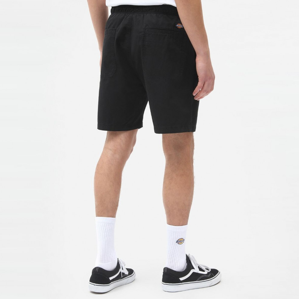 Dickies Pelican Men's Shorts