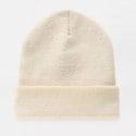 Dickies Gibsland Unisex Beanie