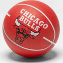 Wilson NBA Chicago Bulls Mini Ball