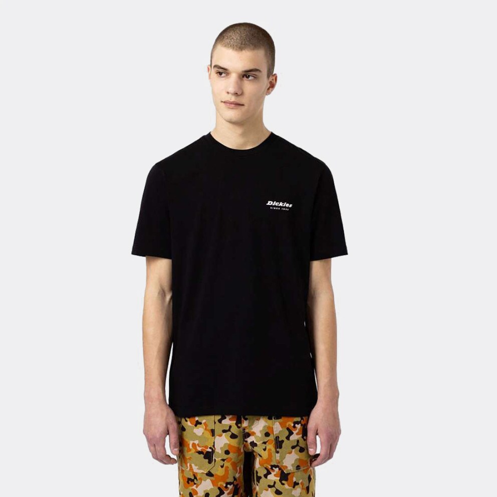 Dickies Artondale Box Men's T-shirt