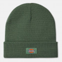 Dickies Gibsland Unisex Beanie