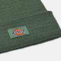 Dickies Gibsland Unisex Beanie