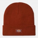 Dickies Gibsland Unisex Beanie