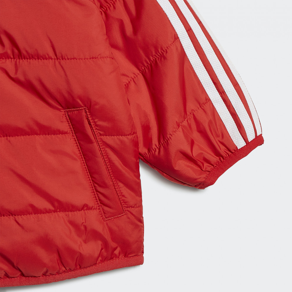 adidas Originals Padded Jacket