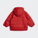 adidas Originals Padded Jacket