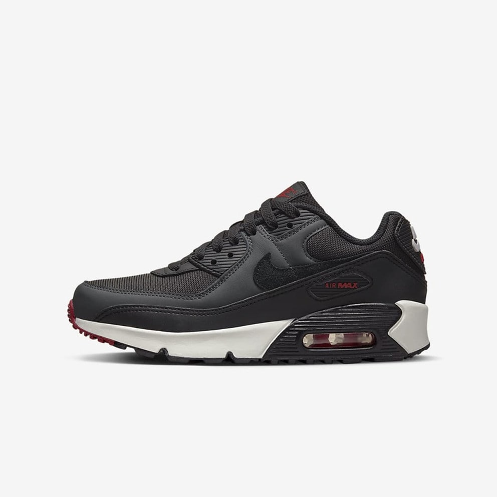 Nike Air Max 90 LTR Παιδικά Παπούτσια (9000109485_60291)