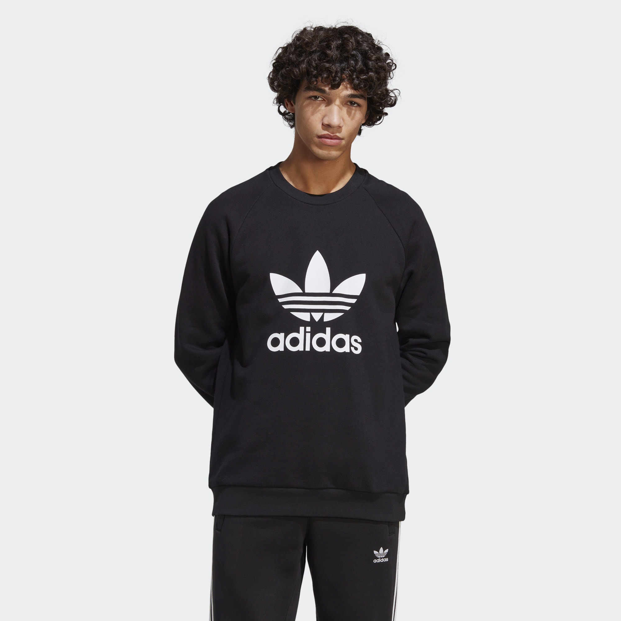 adidas Originals adidas Originals Adicolor Classics Trefoil Crewneck Sweatshirt (9000133415_1469)