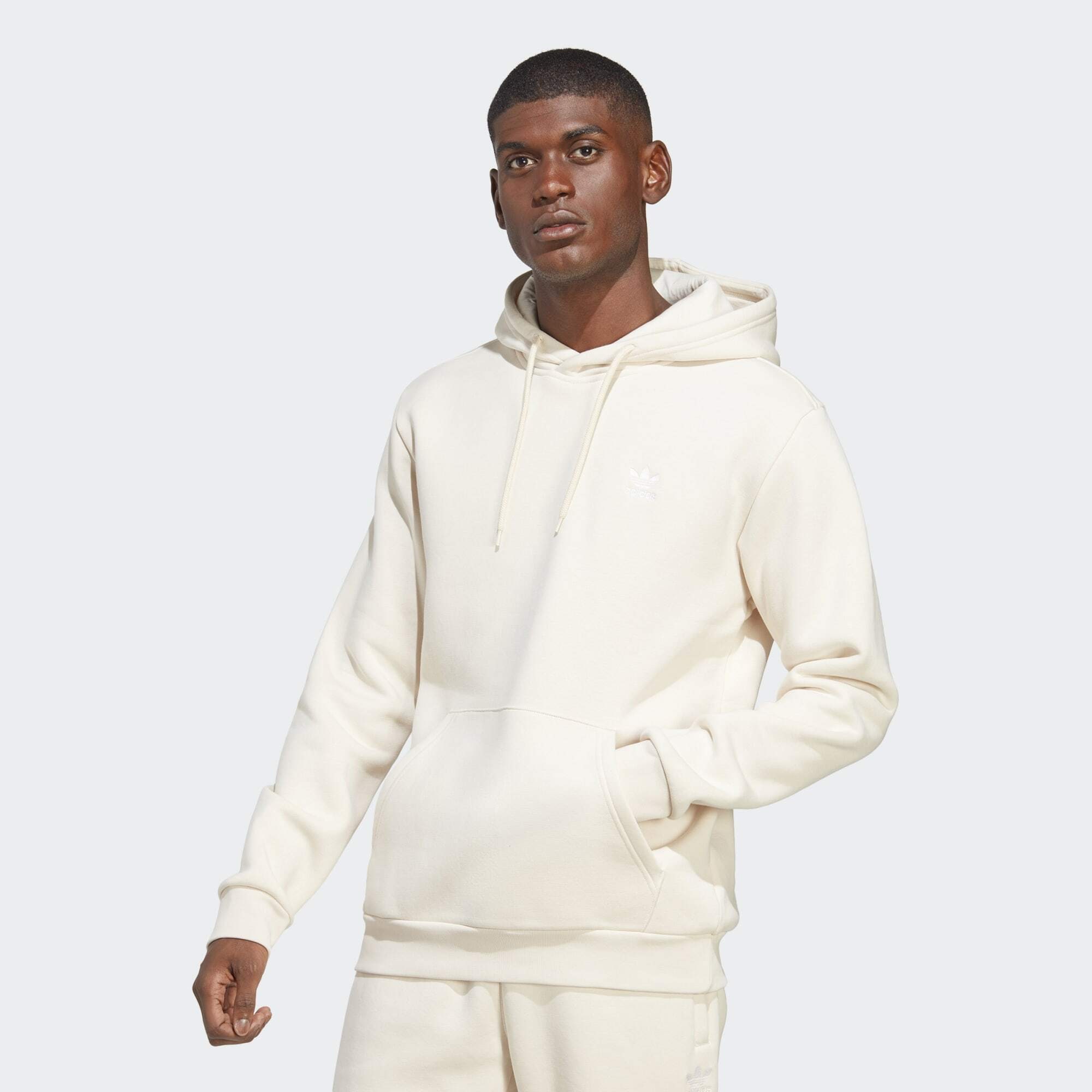 adidas Originals Trefoil Essentials Hoodie (9000133425_65883)