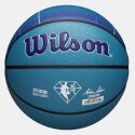 Wilson NBA Team City Collector Charlotte Hornets Basketball Νο7