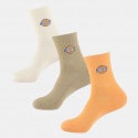 Dickies Valley Grove Unisex Socks 3-Pack