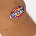 Dickies Sumiton Unisex Trucker Καπέλο