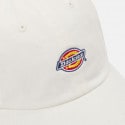 Dickies Hardwick Unisex Hat