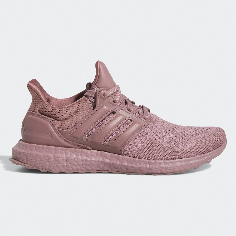 adidas Performance Ultraboost 1.0 Γυναικεία Παπούτσια για Τρέξιμο (9000136568_66830)