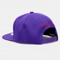 Mitchell & Ness NBA Toronto Raptors Paint By Number Men's Cap