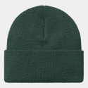 Carhartt WIP Chase Unisex Beanie