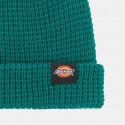 Dickies Woodworth Waffle Unisex Beanie