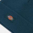 Dickies Gibsland Unisex Beanie