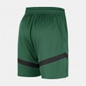 Nike Boston Celtics Dri-Fit Prac Icon+ 8In Men's Shorts