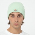 Dickies Gibsland Unisex Beanie