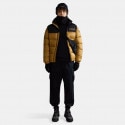 Napapijri A-Hornelen Beige Bistre