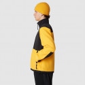 The North Face Denali Jacket Sumitgld