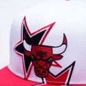 Mitchell & Ness Nba All Starz Snapback Bulls