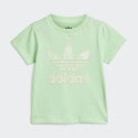 adidas Originals Short Tee Set