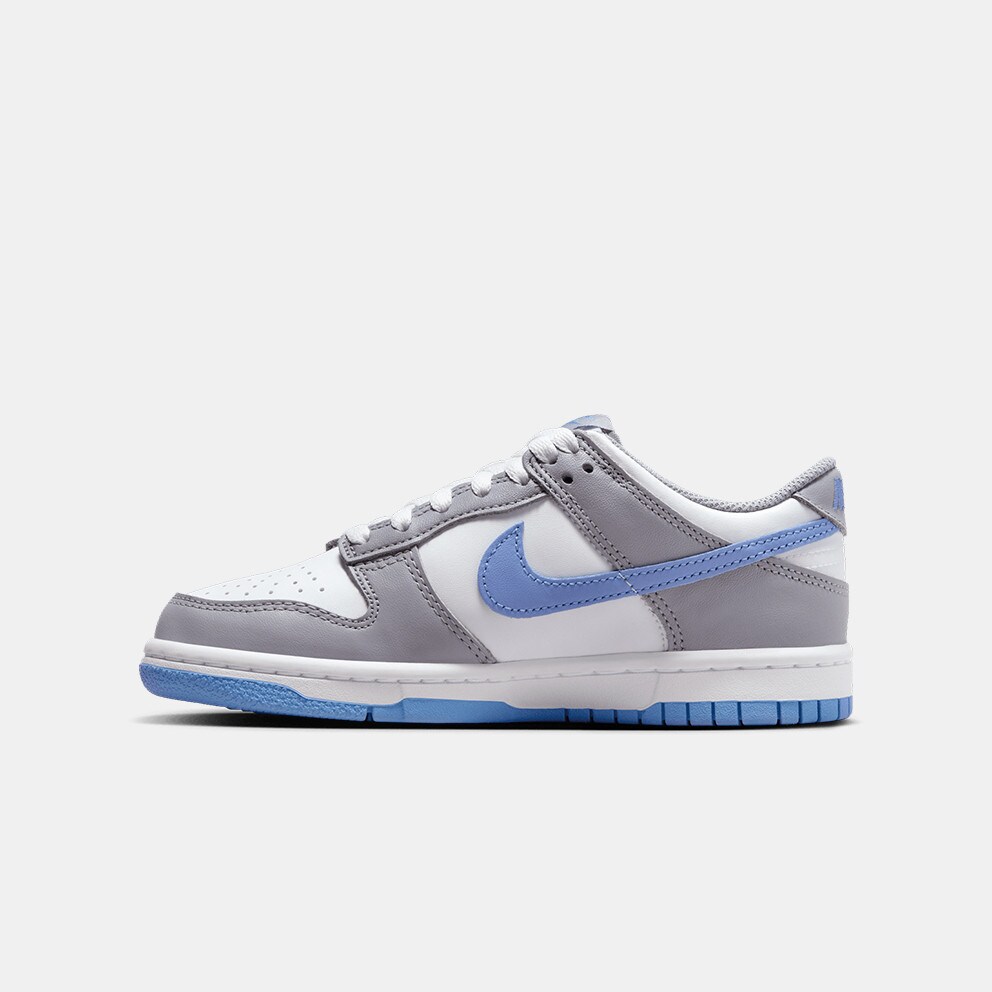 Nike Dunk Low Kids' Shoes