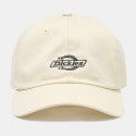 Dickies Essential Dad Cap Corn Husk