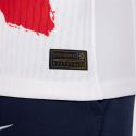 Nike Paris Saint-Germain Men's T-Shirt