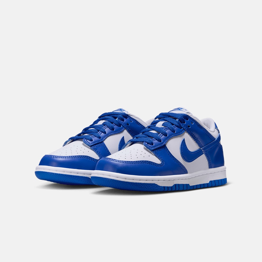 Nike Dunk Low (Gs)