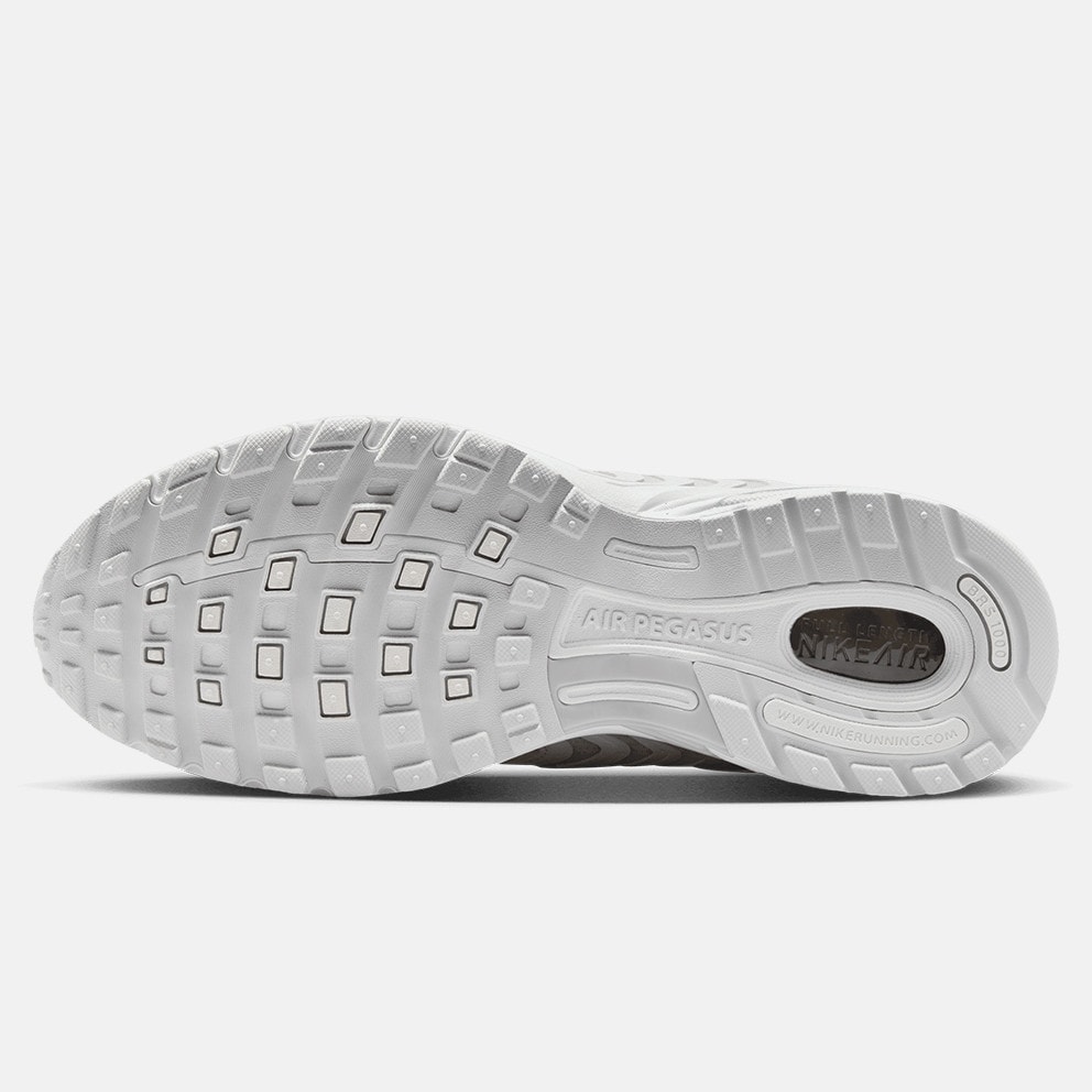 Nike Air Pegasus 2005 Se