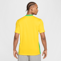 Nike Brazil 2025 Stadium Dri-FIT Replica Ποδοσφαιρική φανέλα
