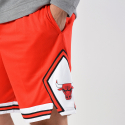 Nike NBA Chicago Bulls Icon Edition Swingman Men's Shorts